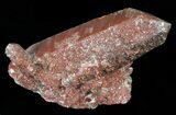 Natural Red Quartz Crystals - Morocco #57230-1